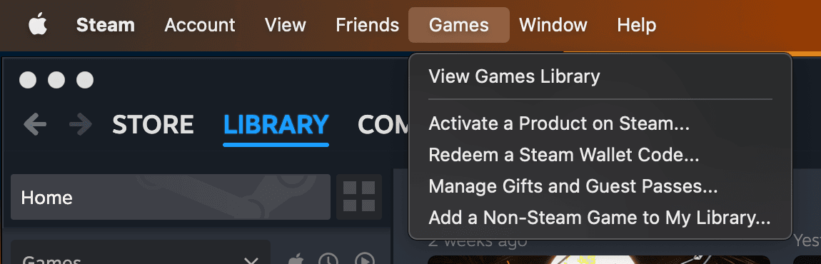 Steam privacy settings